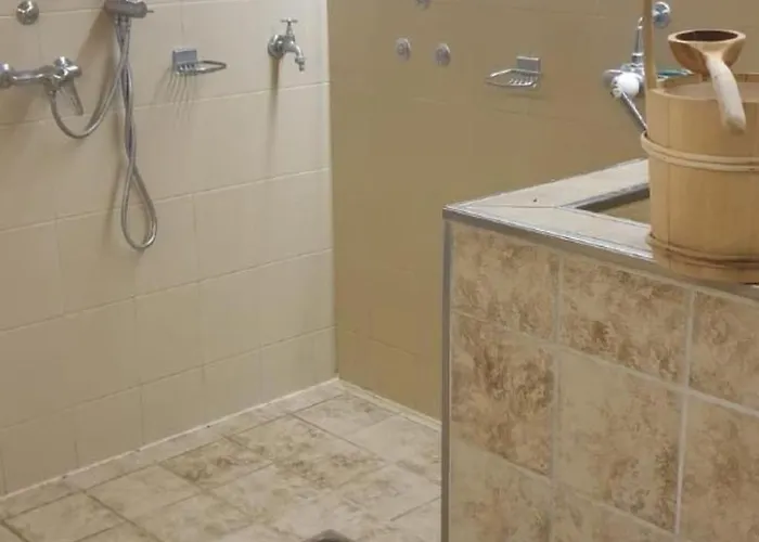 Apartament Mit Eigener Sauna By Interhome Brissago